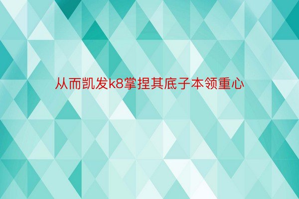 从而凯发k8掌捏其底子本领重心